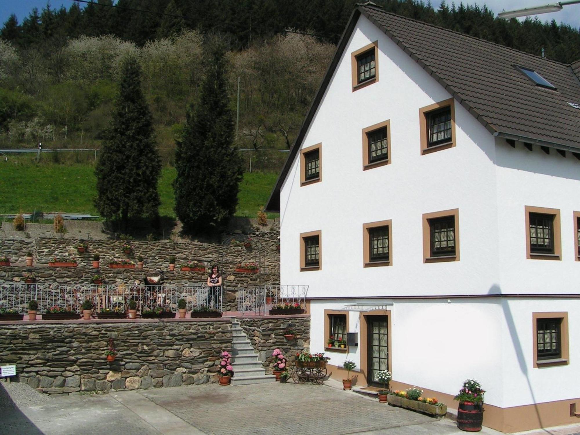A Modern Apartment In The Hunsr Ck Region S Romantic Drohn Valley Merschbach المظهر الخارجي الصورة