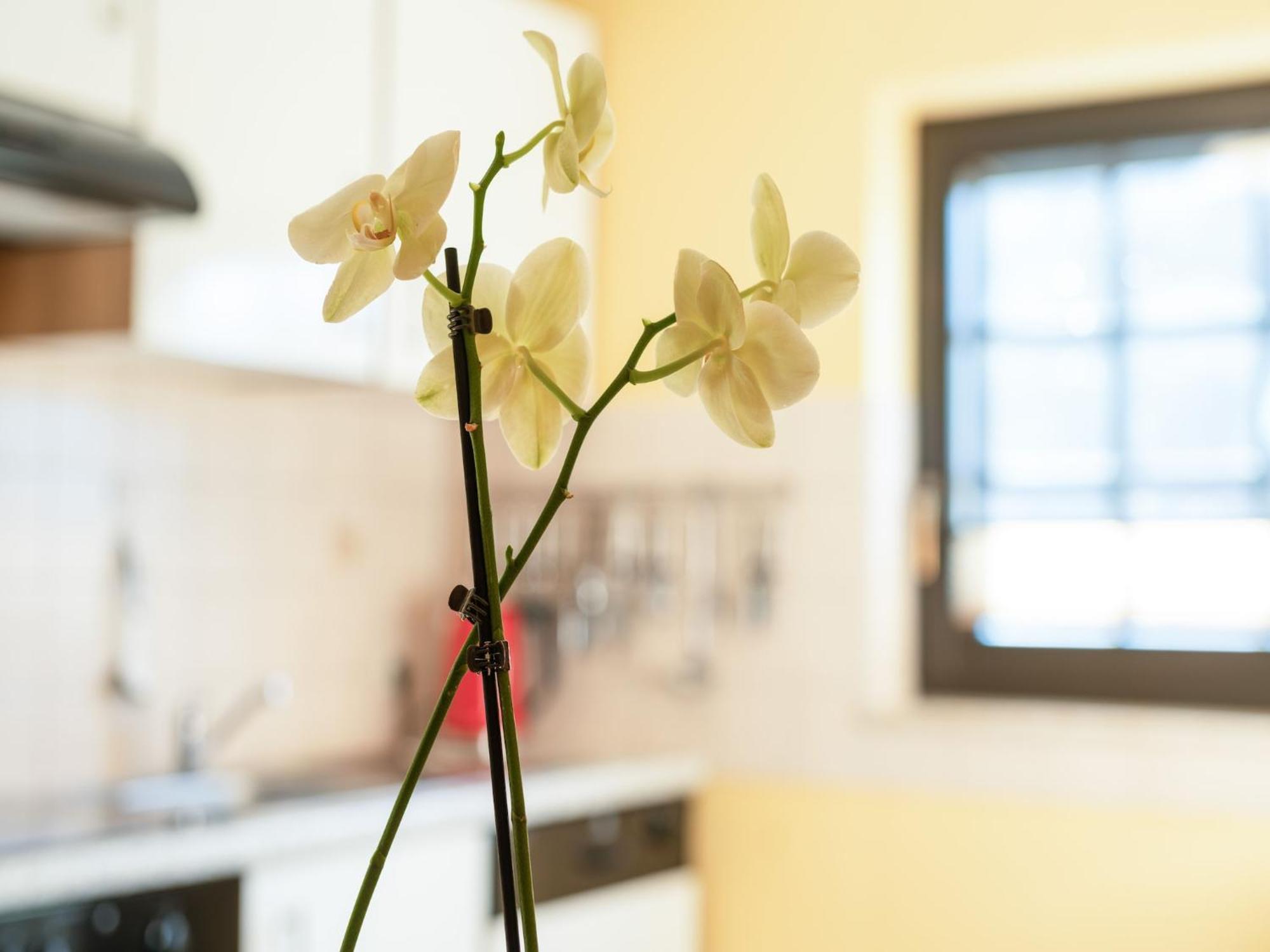 A Modern Apartment In The Hunsr Ck Region S Romantic Drohn Valley Merschbach المظهر الخارجي الصورة